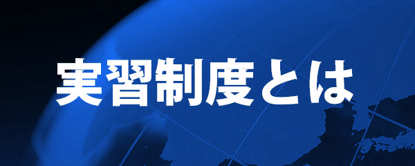 実習制度とは