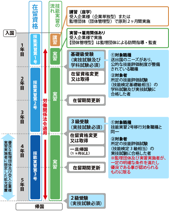 技能実習の流れ